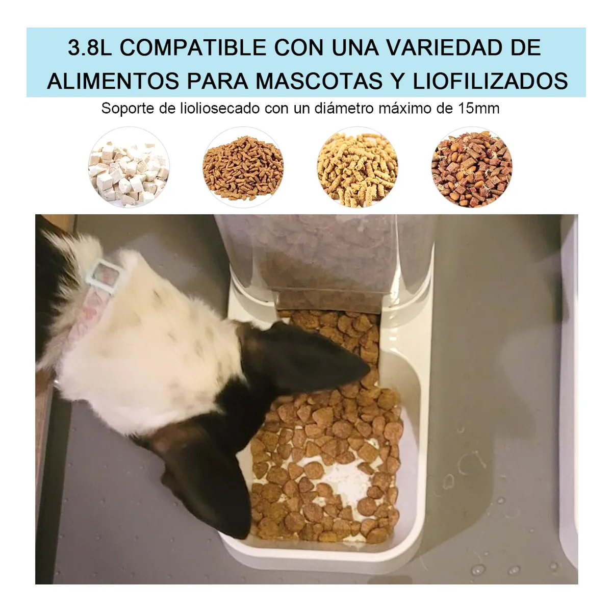 Foto 3 | Alimentador Automatico Perros Y Comederos Gatos Lab.g2.1kg Blanco