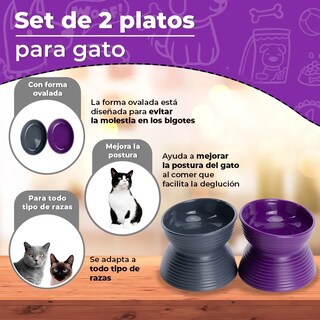 Foto 2 | Set 2 Platos Belug Mascotas Gris Y Morado