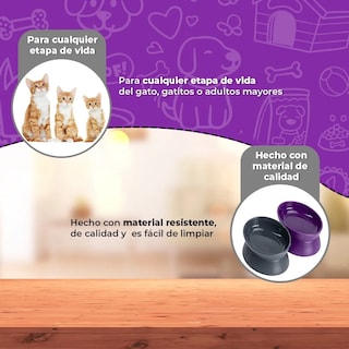 Foto 4 | Set 2 Platos Belug Mascotas Gris Y Morado