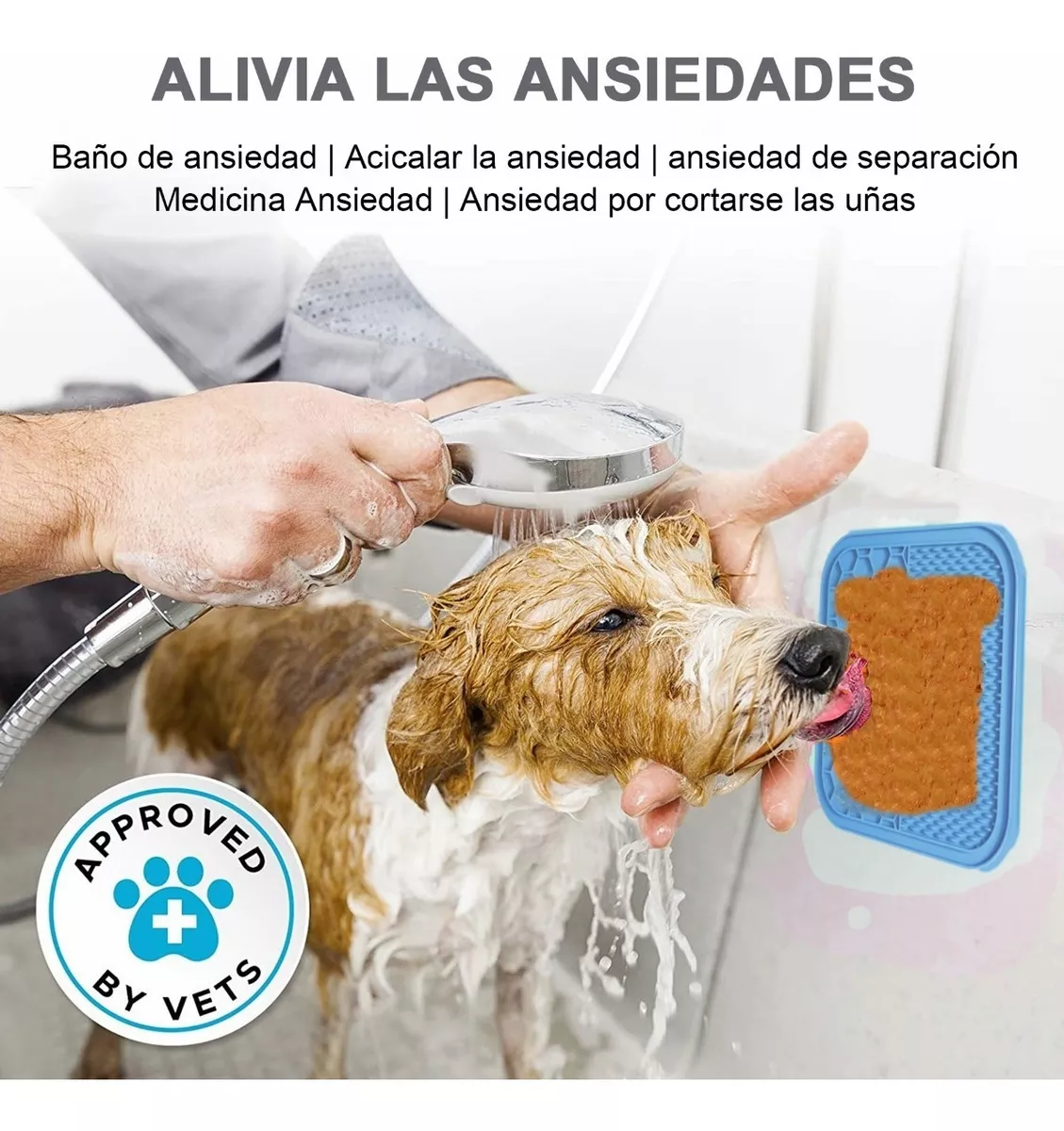 Foto 5 pulgar | 2 Platos de Comida con Raspador para Mascotas Belug color Azul