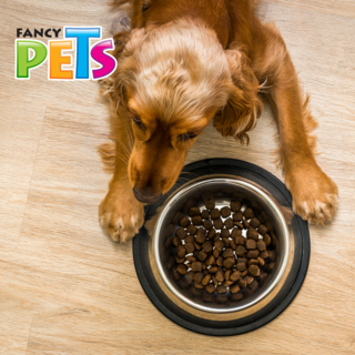 Foto 4 | Fancy Pets Plato De Acero Para Perro De 96 Onzas O 2.7 Kilogramos Con Antiderrapante