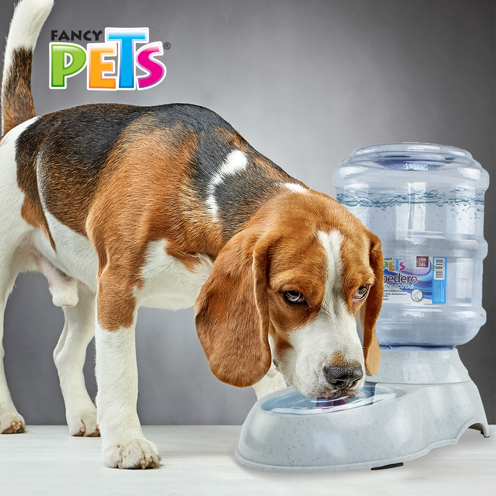 Foto 5 pulgar | Fancy Pets Bebedero De Agua Chico Para Perro O Gato Co Capacidad De 1 Galón, 3.8 Litros