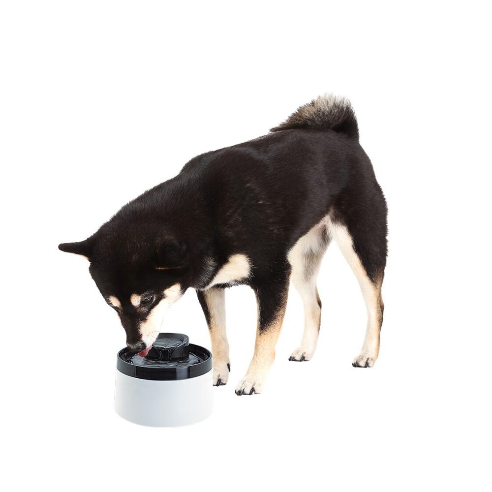 Fancy Pets Bebedero De Agua Tipo Fuente Automático Para Perros Y Gatos Con Capacidad De 2 Litros