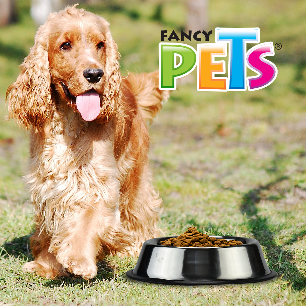 Foto 4 pulgar | Fancy Pets Plato De Acero Para Perro De 24 Onzas O 680 Gramos Con Antiderrapante