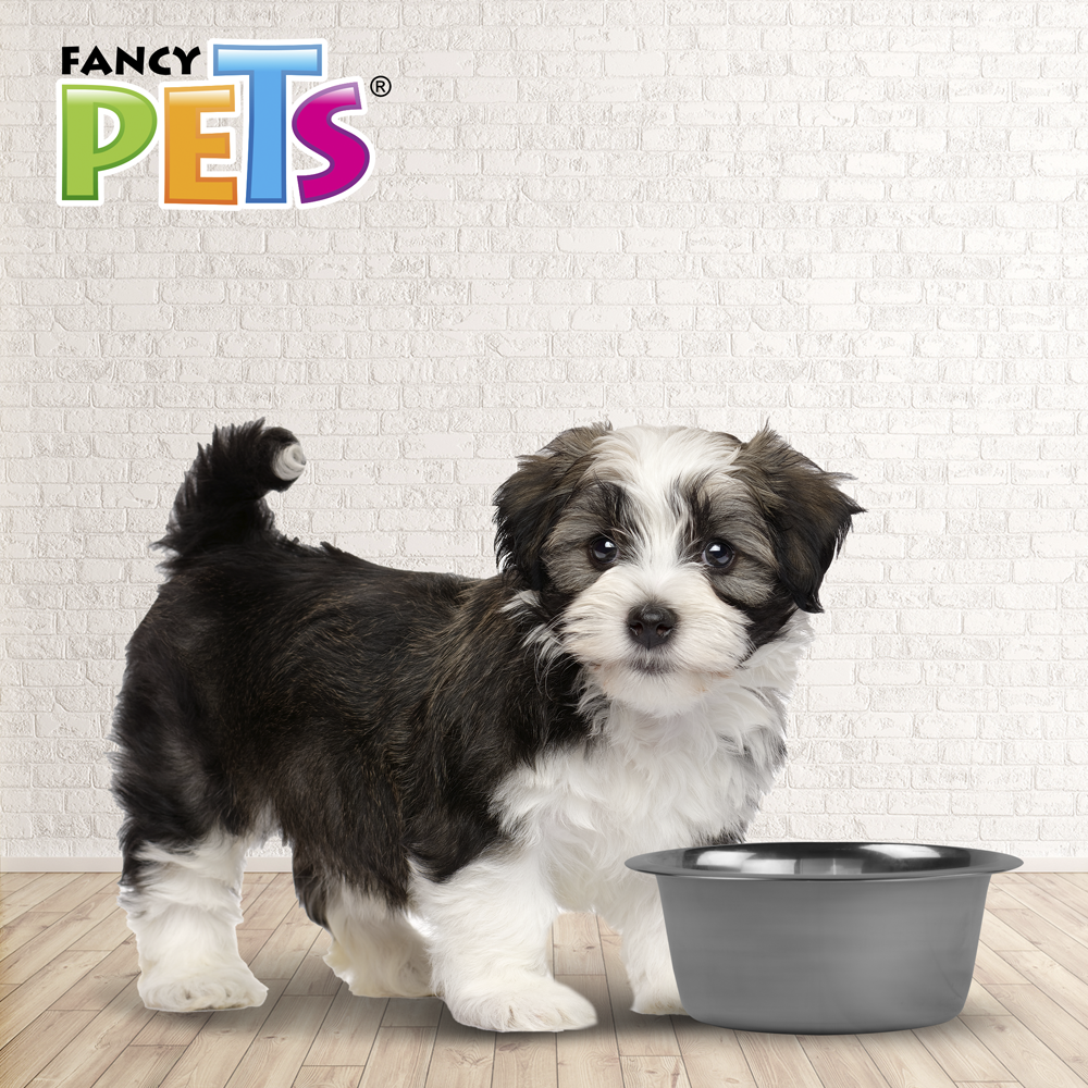 Foto 4 | Fancy Pets Plato De Acero Para Perro Con Base Antiderrapante De 24 Onzas 680 Gramos