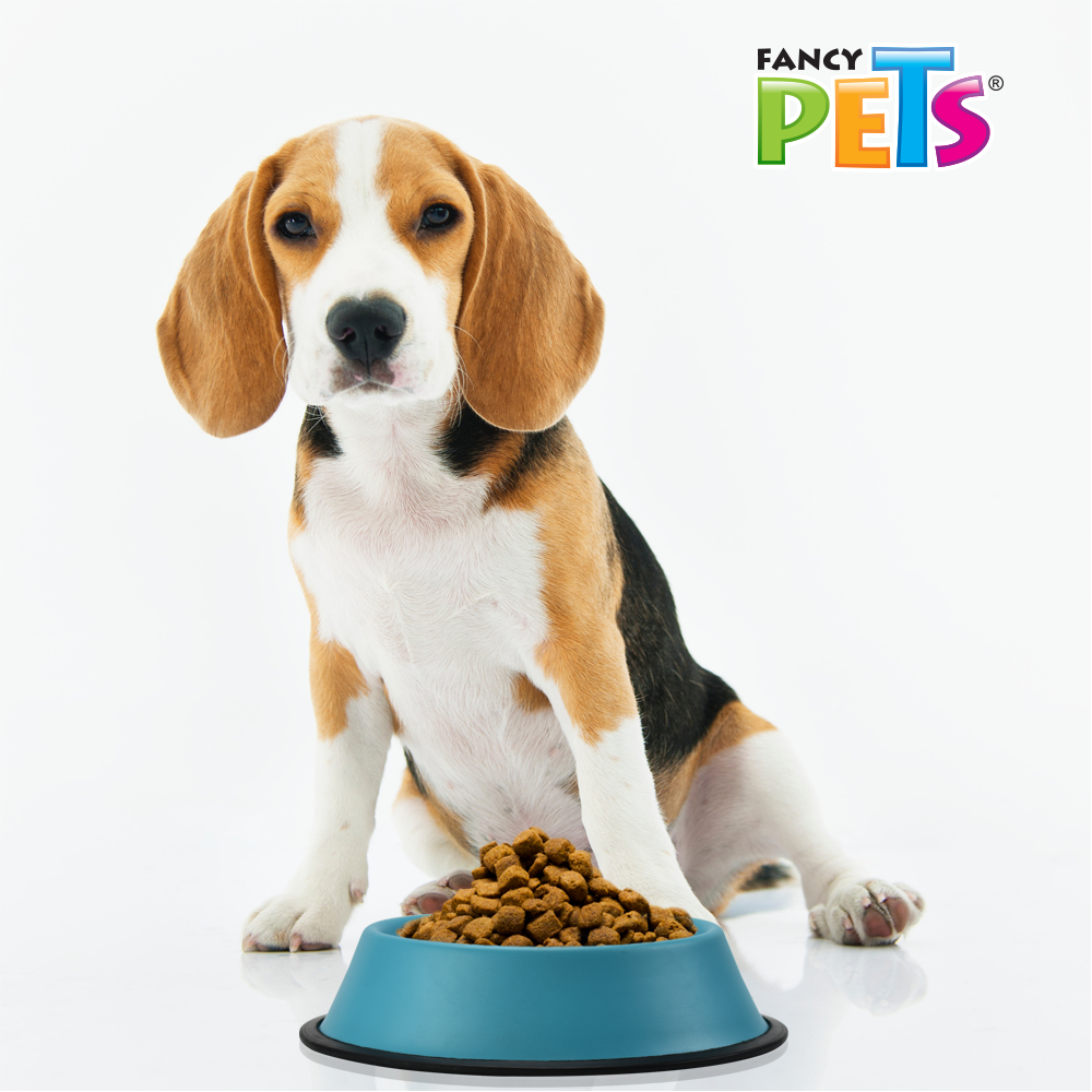 Foto 3 | Fancy Pets Plato De Colores Surtidos Para Perro Con 24 Onzas O 680 Gramos