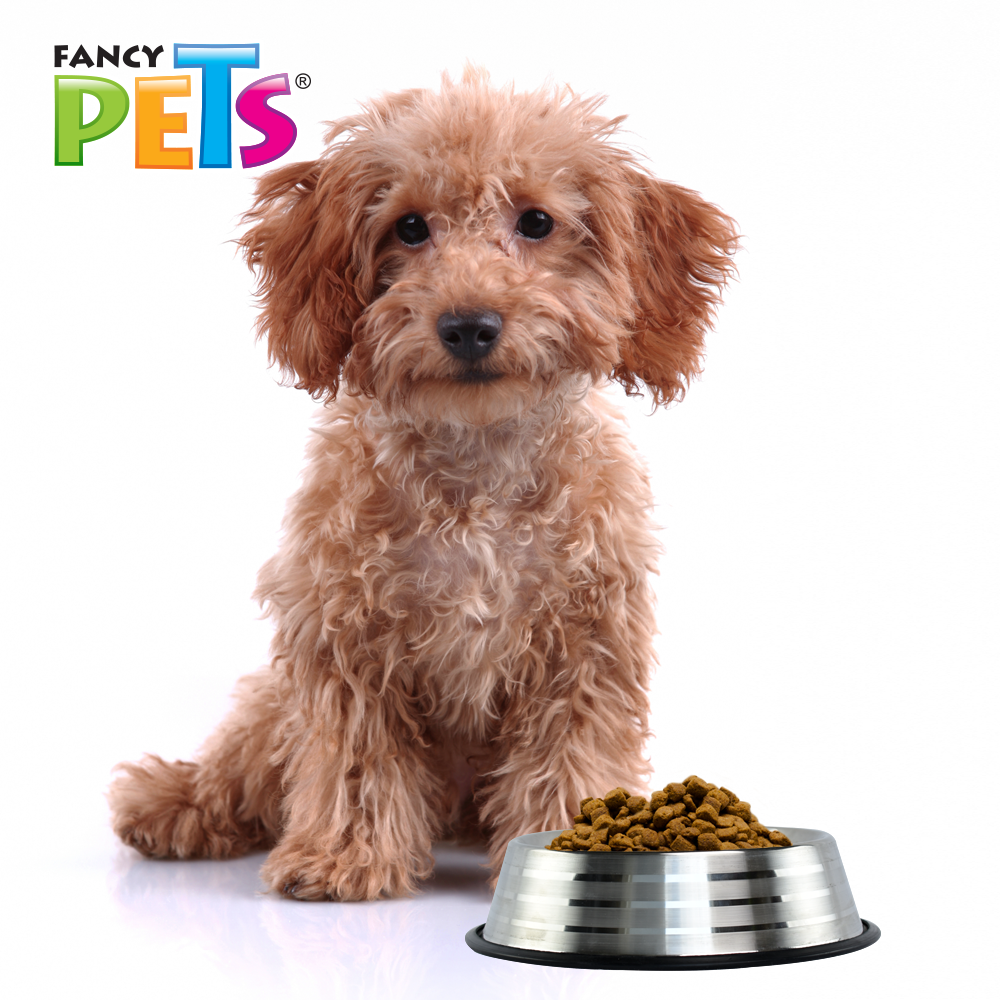 Foto 4 | Fancy Pets Plato Estriado De Acero Inoxidable Para Perro 8 Onzas O 227 Gramos Con Antiderapante