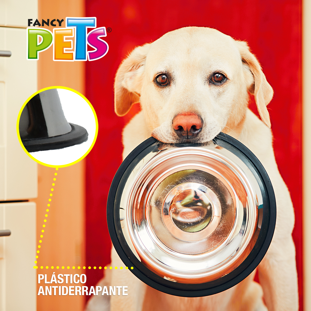 Foto 5 pulgar | Fancy Pets Plato De Acero Inoxidable Ligero Para Perro Para 96 Onza O 2.7 Kilos