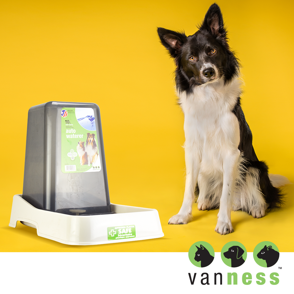 Foto 4 | Vanness Alimentador Automático Para Perro O Gato De 10 Libras O 4.5 Kilogramos