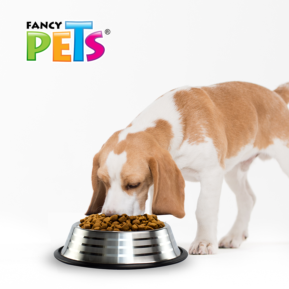 Foto 3 | Fancy Pets Plato Estriado De Acero Inoxidable Para Perro, 32 Onzas O 907 Gramos Con Antiderapante