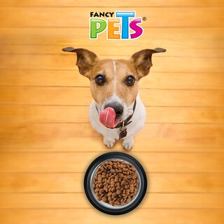 Foto 3 | Fancy Pets Plato Ligero De Acero Inoxidable Para Perro Tamaño 16 Onzas O 680 Gramos