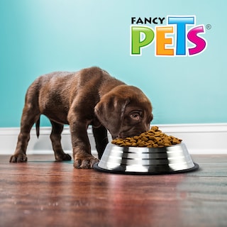 Foto 3 | Fancy Pets Plato Estriado De Acero Inoxidable Para Perro, 64 Onzas O 1.8 Kilogramos Con Antiderapante