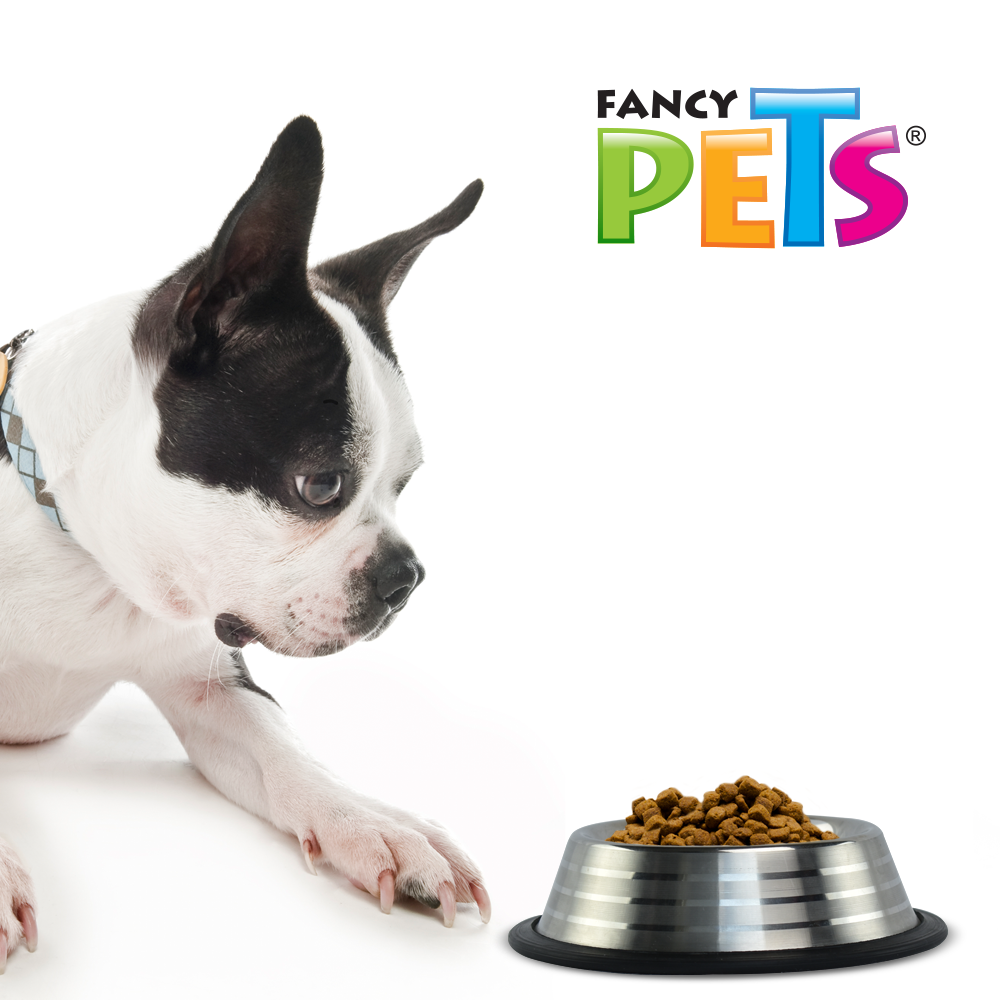 Foto 4 | Fancy Pets Plato Estriado De Acero Inoxidable Para Perro, 16 Onzas O 454 Gramos Con Antiderapante