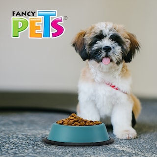 Foto 4 | Plato de Colores Surtidos Fancy Pets para Perro con 8 Onzas O 227 Gramos