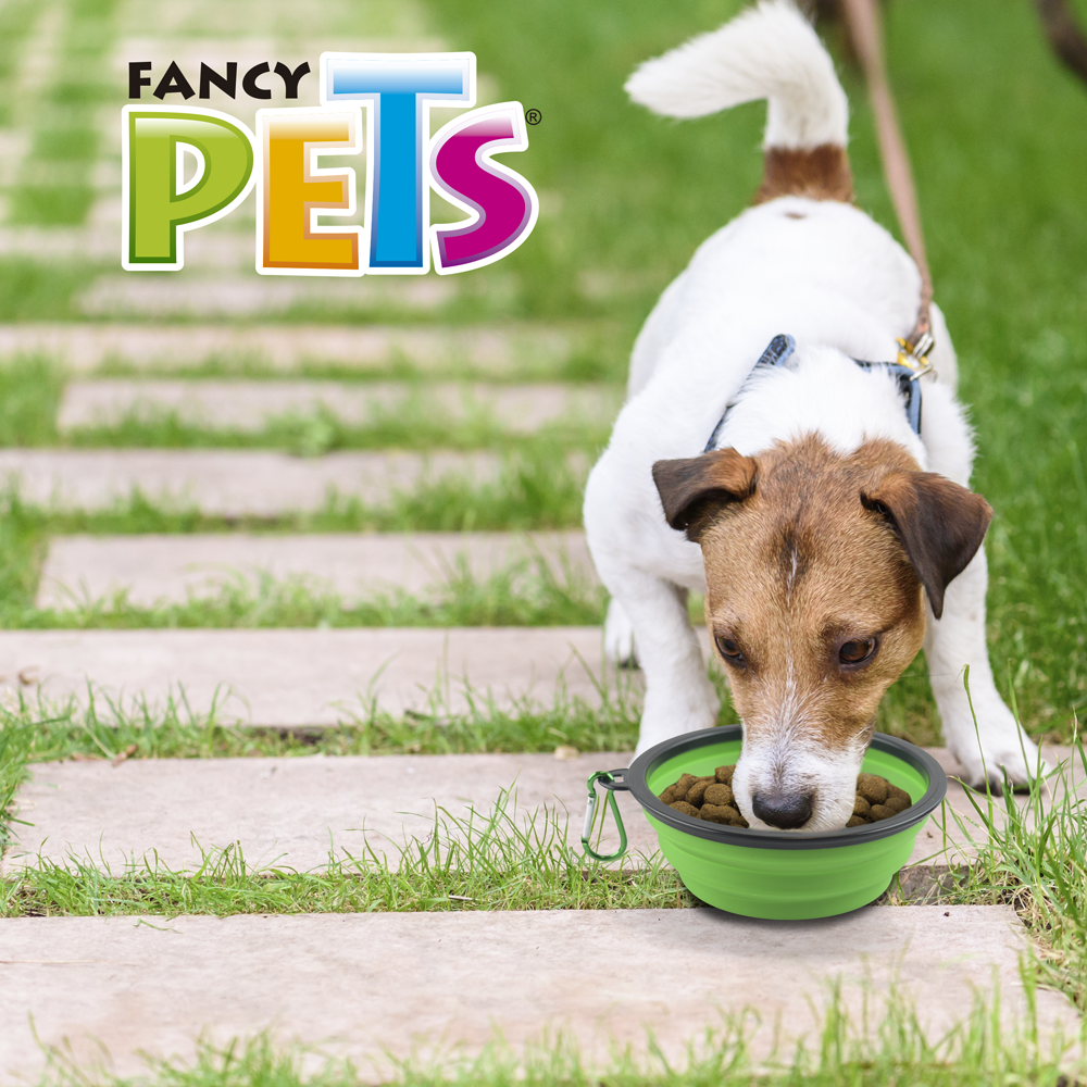 Foto 5 | Plato Plegable para Viaje Fancy Pets Colores Surtidos Tamaño Grande para Perro y/o Gato