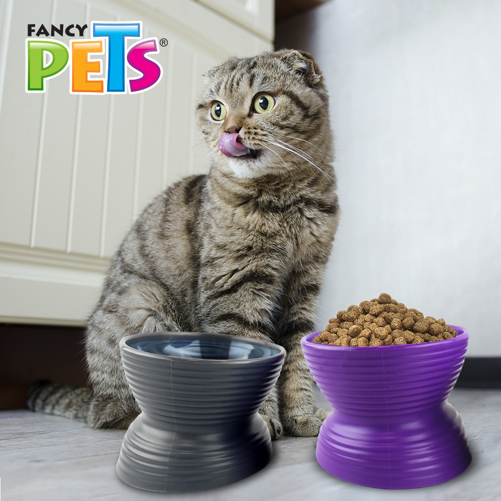 Foto 8 pulgar | Set de 2 Platos Fancy Pets para Gato