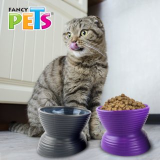 Foto 7 | Set de 2 Platos Fancy Pets para Gato