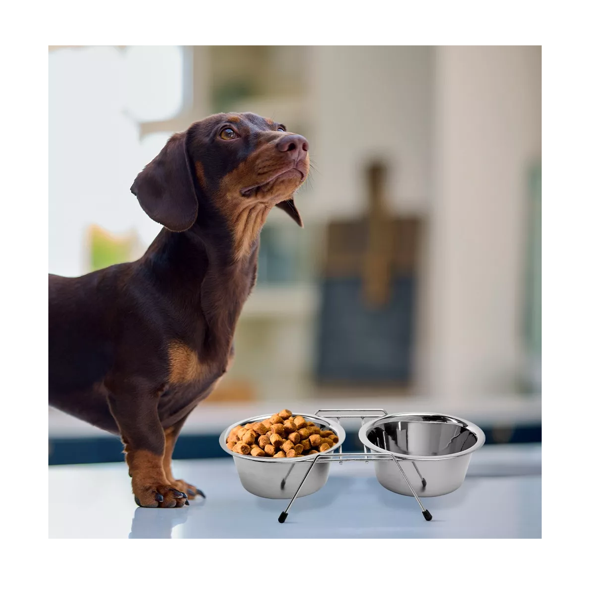 Foto 3 | Comedero Perro Gato Doble Con 2 Platos 473ml  Eo Safe Imports Esi-14163 Plata