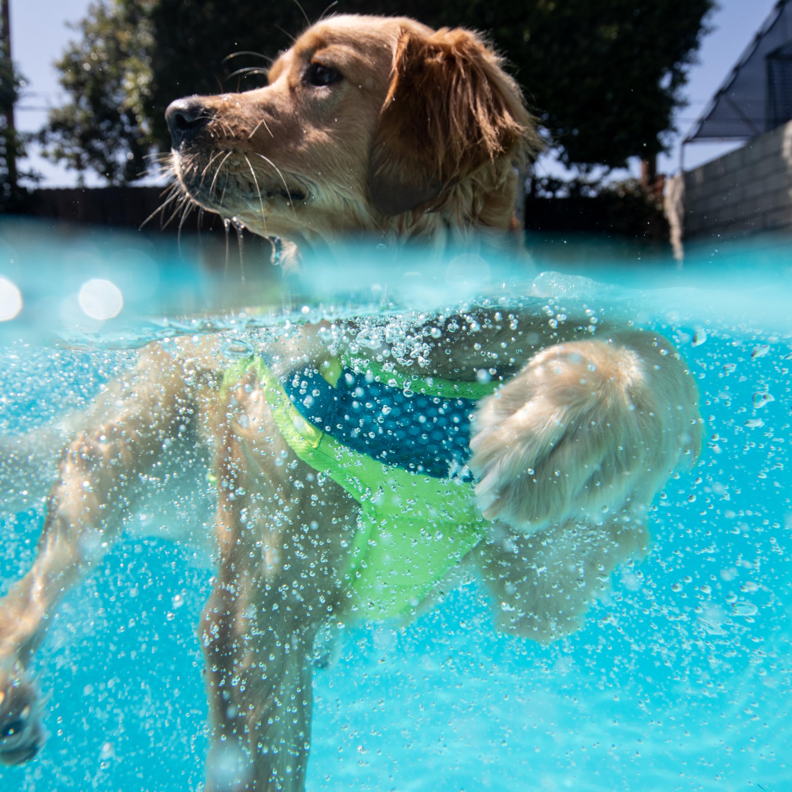 Foto 7 pulgar | Chaleco Salvavidas Para Perros Outward Hound Standley Sport Green Xs - Venta Internacional.