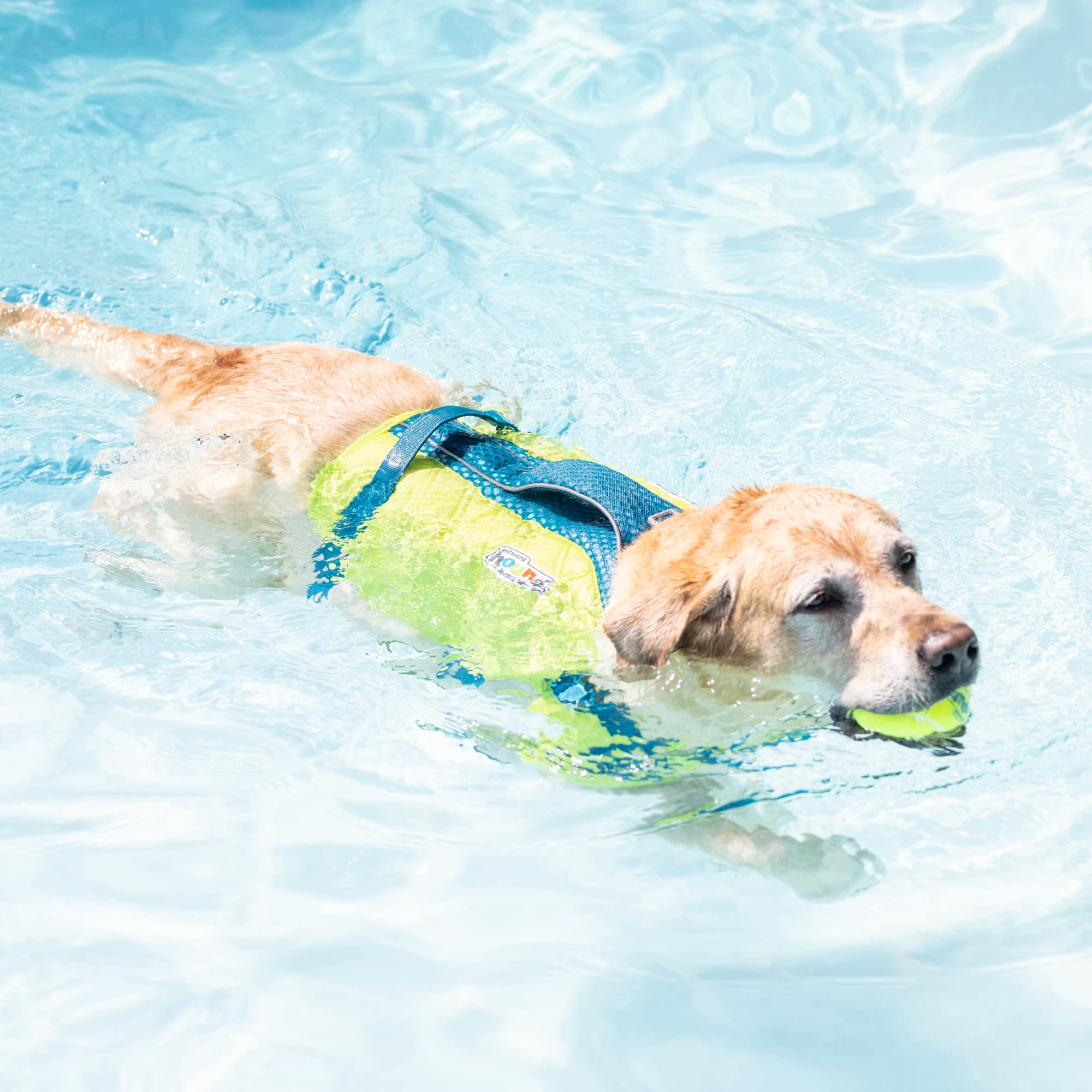 Foto 8 pulgar | Chaleco Salvavidas Para Perros Outward Hound Standley Sport Green Xs - Venta Internacional.