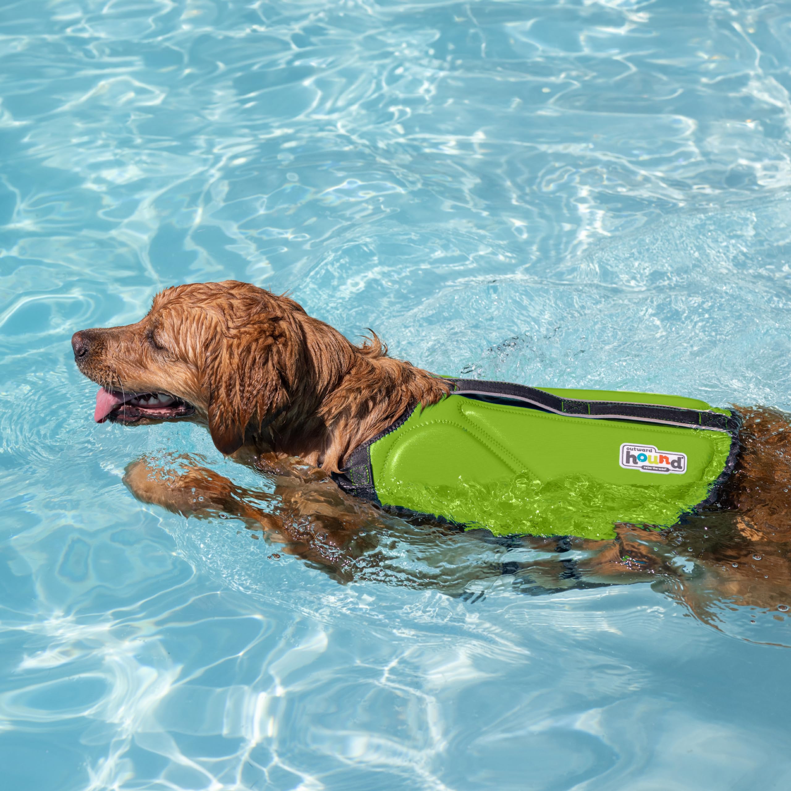 Foto 7 pulgar | Chaleco Salvavidas Para Perros Outward Hound Dawson Swim Green Medium - Venta Internacional.