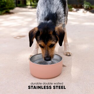 Foto 3 | Cuenco De Agua Para Mascotas Bentley Simple Y Moderno De Acero Inoxidable - Venta Internacional.