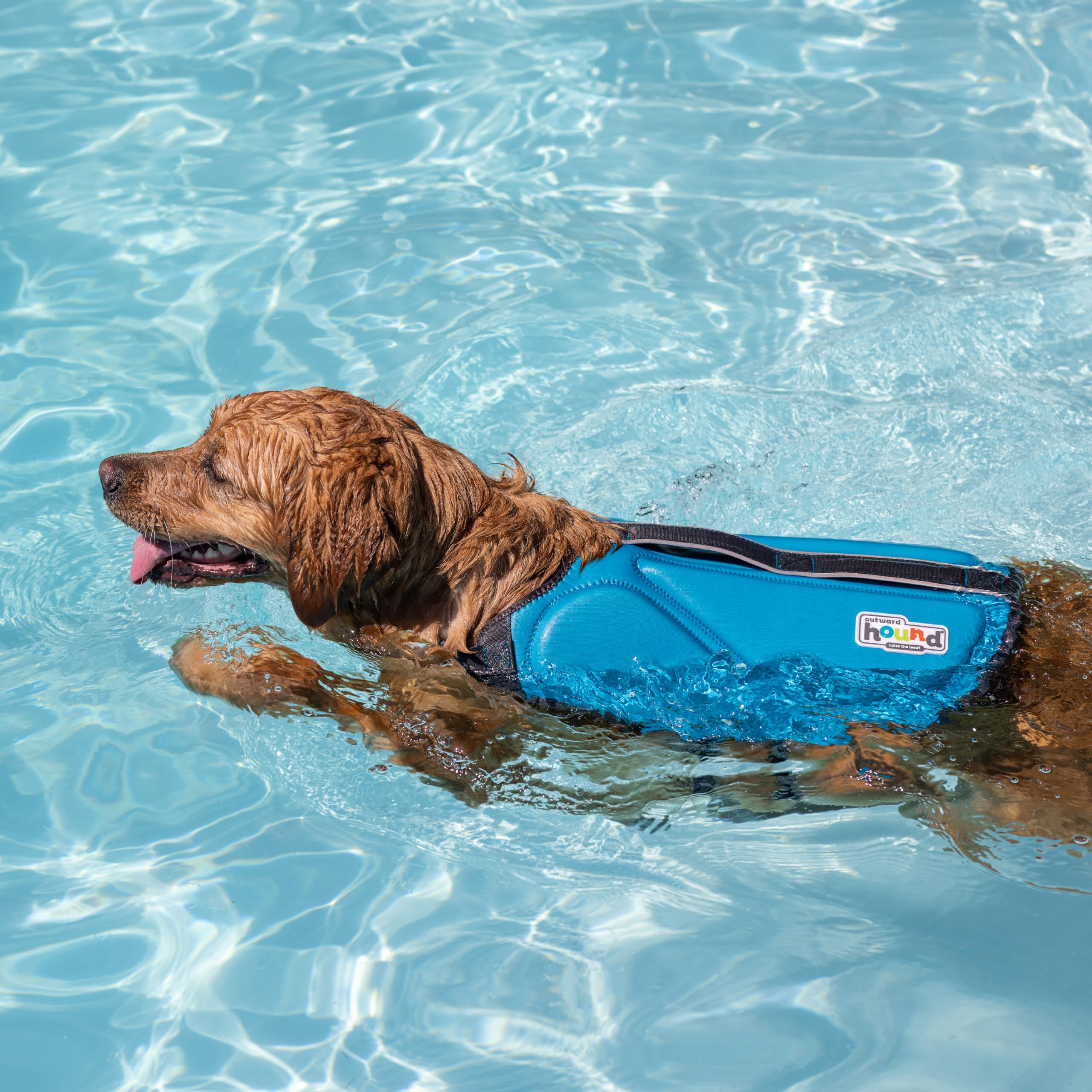 Foto 7 pulgar | Chaleco Salvavidas Para Perros Outward Hound Dawson Swim, Azul, Talla M - Venta Internacional.