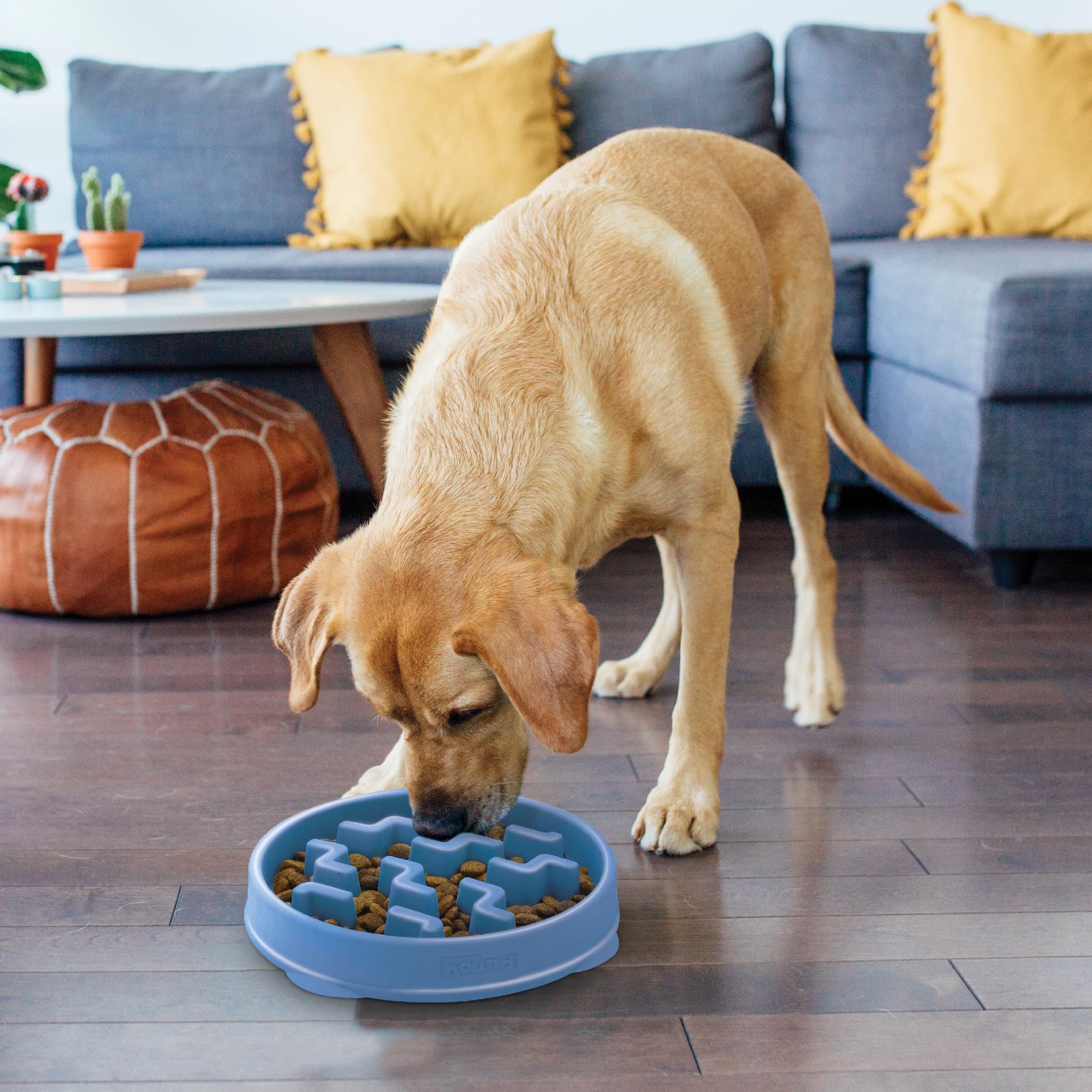 Foto 6 pulgar | Dog Bowl Outward Hound Fun Feeder Slo Bowl, Alimentador Lento, Azul - Venta Internacional.