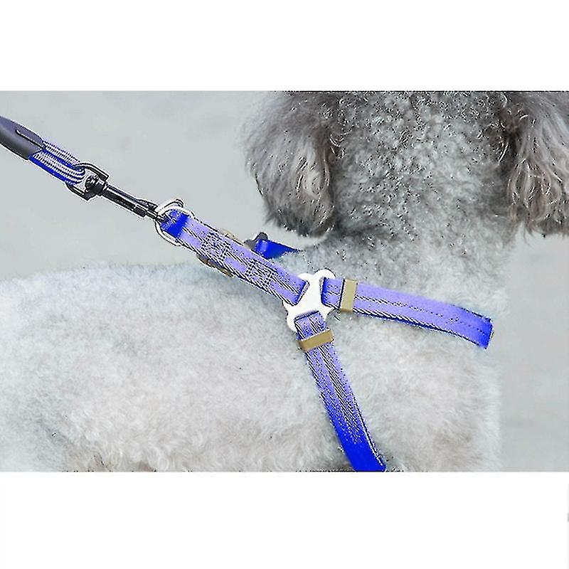 Foto 4 pulgar | Set De Baños Para Pájaros Con Forma De Jaula Para Pájaros Con Collar Para Perro, Arnés Y Correa - Venta Internacional.