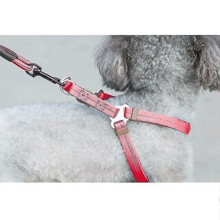 Foto 3 | Set De Baños Para Pájaros Con Forma De Jaula Para Pájaros Con Collar Para Perro, Arnés Y Correa - Venta Internacional.