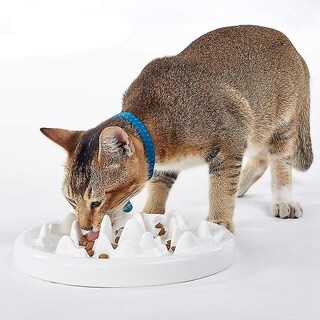 Foto 4 | Cuenco De Cerámica Slow Feeder Huoguo Para Gatos Y Perros, Color Blanco - Venta Internacional.