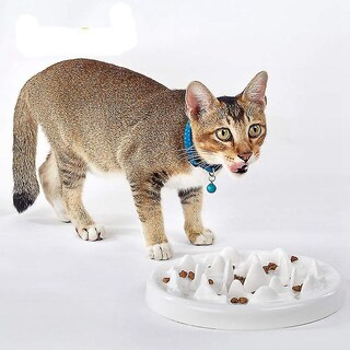 Foto 5 | Cuenco De Cerámica Slow Feeder Huoguo Para Gatos Y Perros, Color Blanco - Venta Internacional.