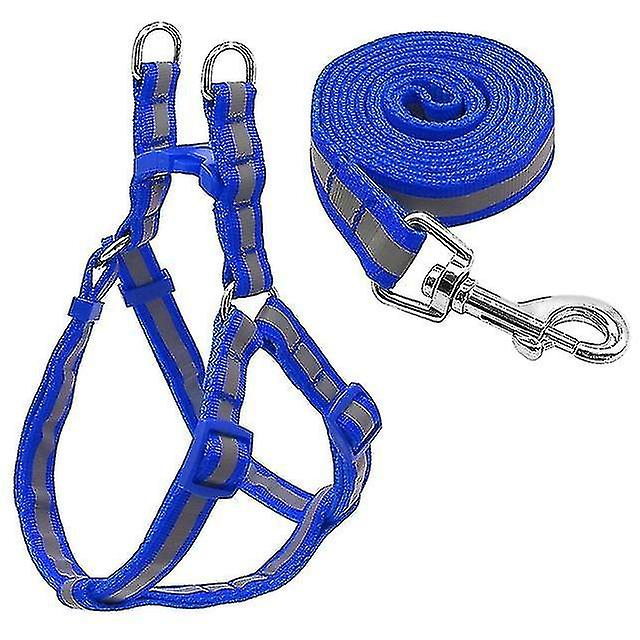 Foto 2 pulgar | Set De Correas De Nailon Reflectante Para Perros Pequeños Y Medianos, Color Azul - Venta Internacional.