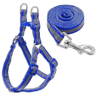 Foto 1 | Set De Correas De Nailon Reflectante Para Perros Pequeños Y Medianos, Color Azul - Venta Internacional.