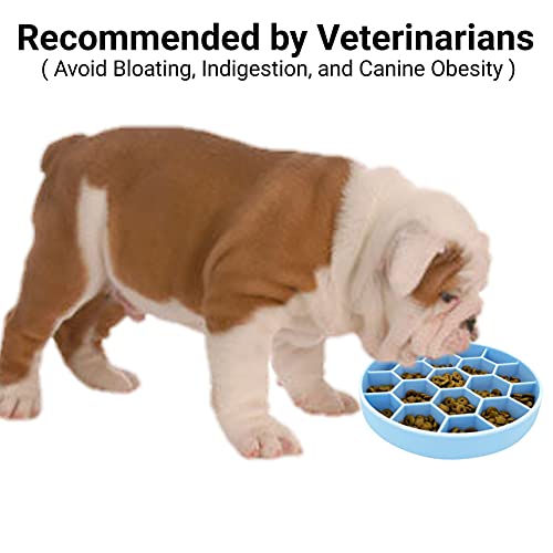 Foto 4 pulgar | Mr. Peanut's Interactive Slow Feed Dog Bowl, Fun Healthy B - Venta Internacional.