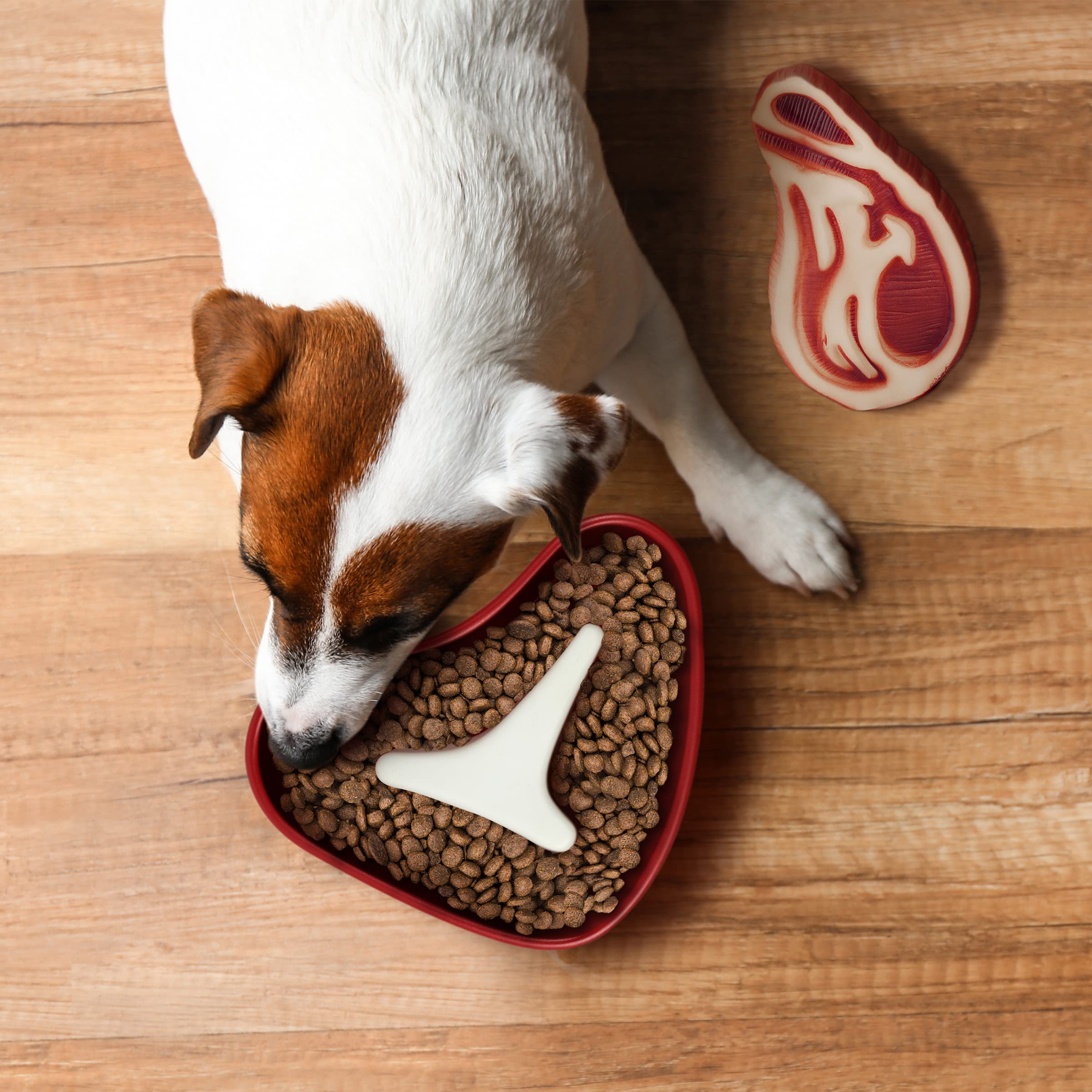 Foto 2 | Cuenco Para Perros Slow Feeder, Diseño Original De Filetes Fred Slow Food - Venta Internacional.