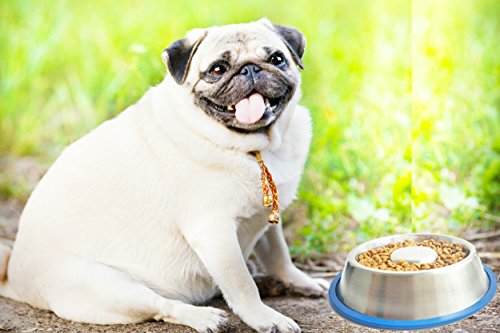 Foto 7 pulgar | Mr. Peanut's Stainless Steel Interactive Slow Feed Dog Bow - Venta Internacional.