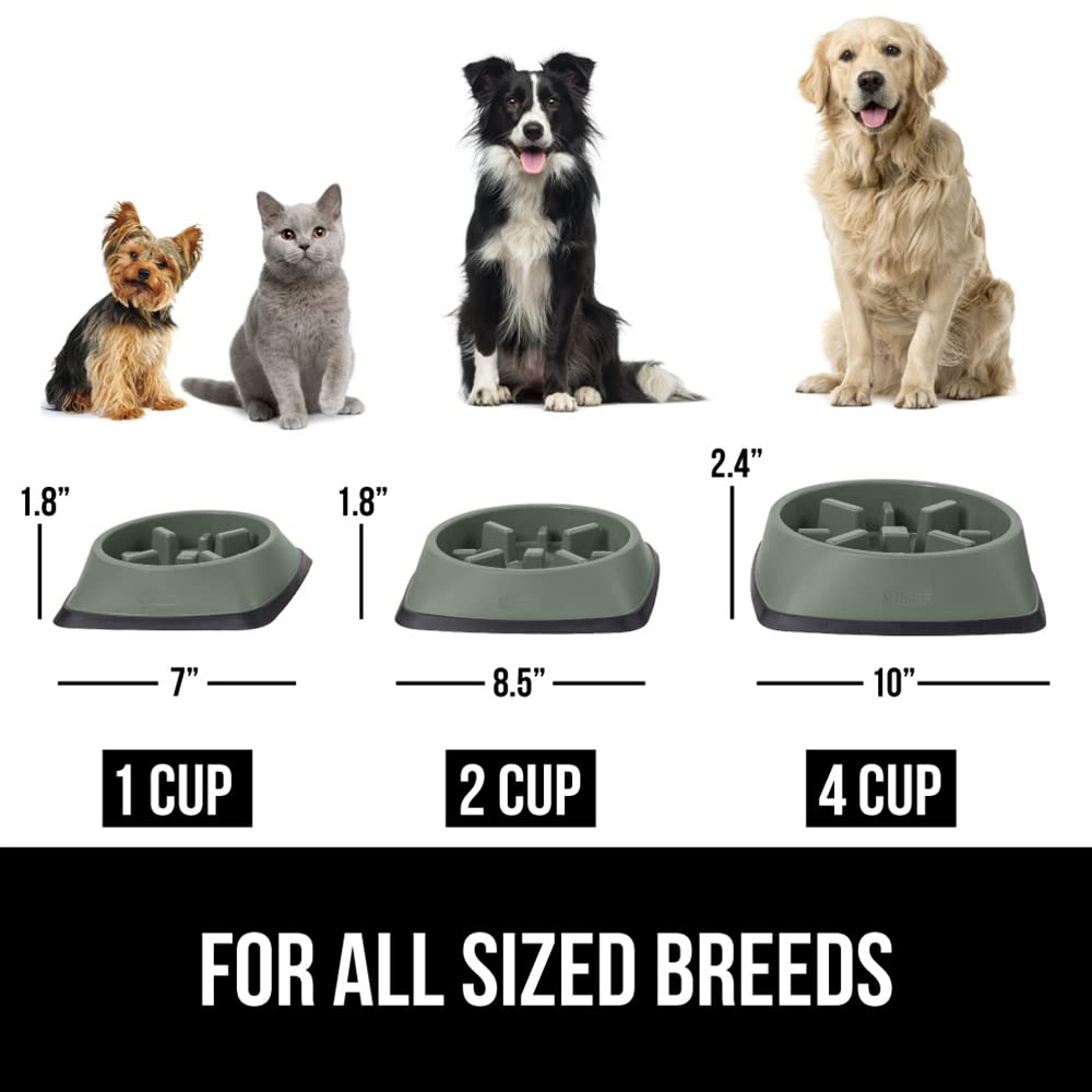 Foto 7 pulgar | Cuenco Para Perros Slow Feeder Gorilla Grip, 2 Tazas, Color Verde Salvia - Venta Internacional.