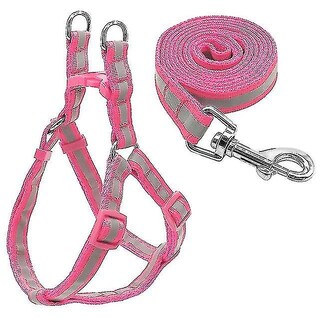 Foto 1 | Juego De Correas De Nailon Reflectante Para Perros Pequeños Y Medianos, Talla S - Venta Internacional.