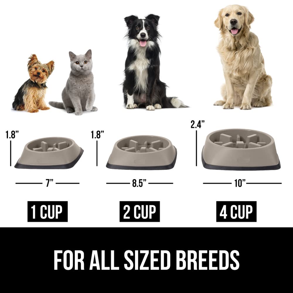 Foto 7 pulgar | Cuenco Para Perros Slow Feeder Gorilla Grip, 1 Taza, Color Beige, 100% Libre De Bpa - Venta Internacional.