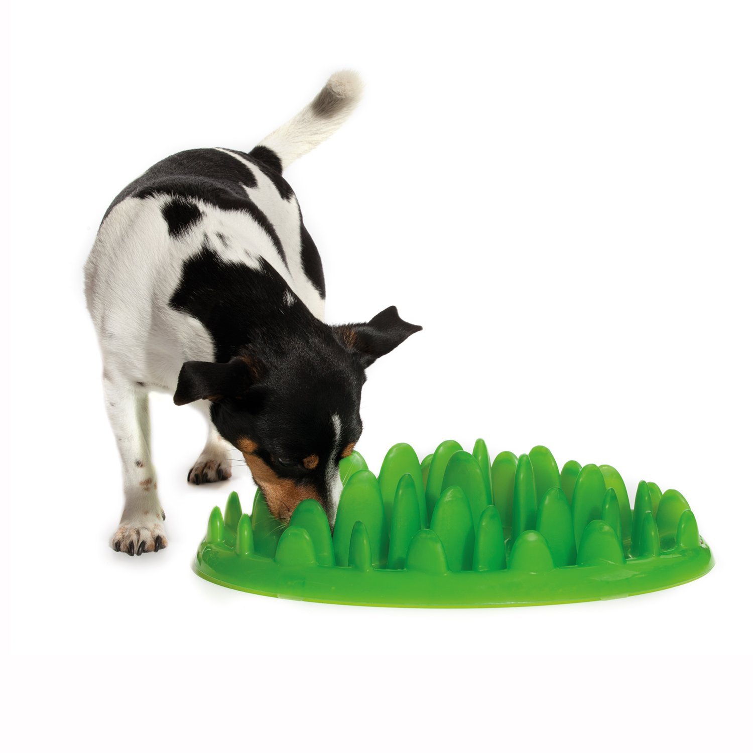 Foto 4 pulgar | Cuenco Para Perros Slow Feeder Company Of Animals, Color Verde, Para Perros Grandes - Venta Internacional.
