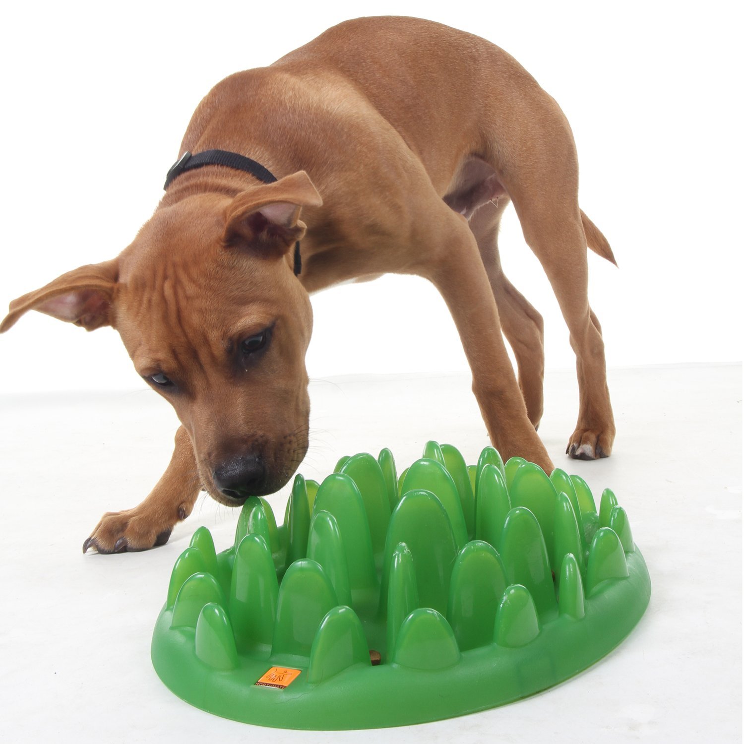 Foto 5 pulgar | Cuenco Para Perros Slow Feeder Company Of Animals, Color Verde, Para Perros Grandes - Venta Internacional.