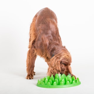Foto 5 | Cuenco Para Perros Slow Feeder Company Of Animals, Color Verde, Para Perros Grandes - Venta Internacional.