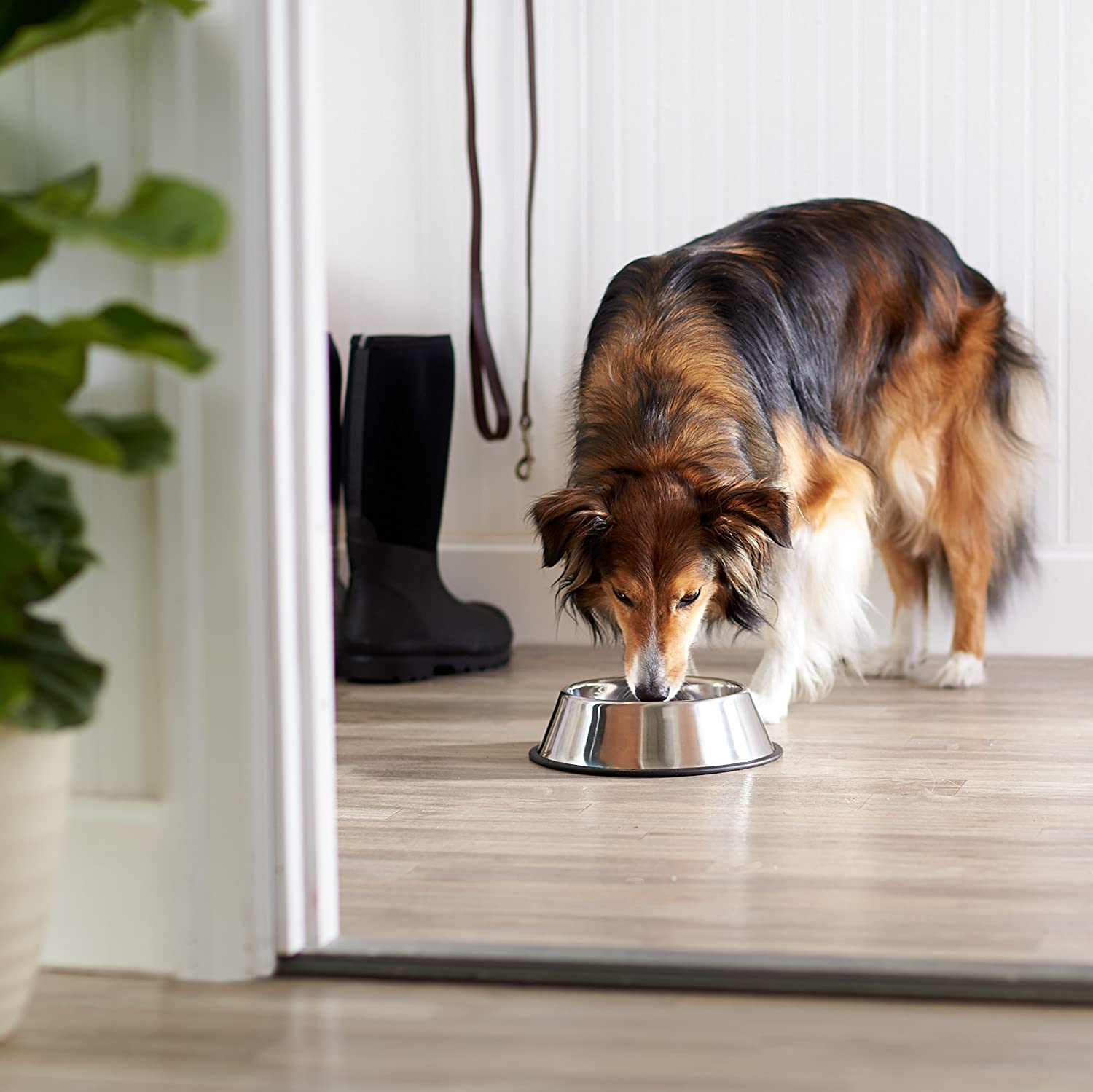 Foto 5 pulgar | Cuenco Jieyou De Acero Inoxidable Para Agua Y Comida Para Mascotas Y Perros, 900 Ml - Venta Internacional.