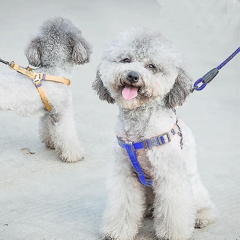 Juego De Baños Para Mascotas, Jaulas Para Pájaros, Arnés Y Correa - Venta Internacional.