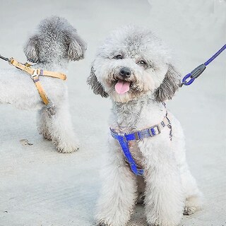 Foto 1 | Juego De Baños Para Mascotas, Jaulas Para Pájaros, Arnés Y Correa - Venta Internacional.