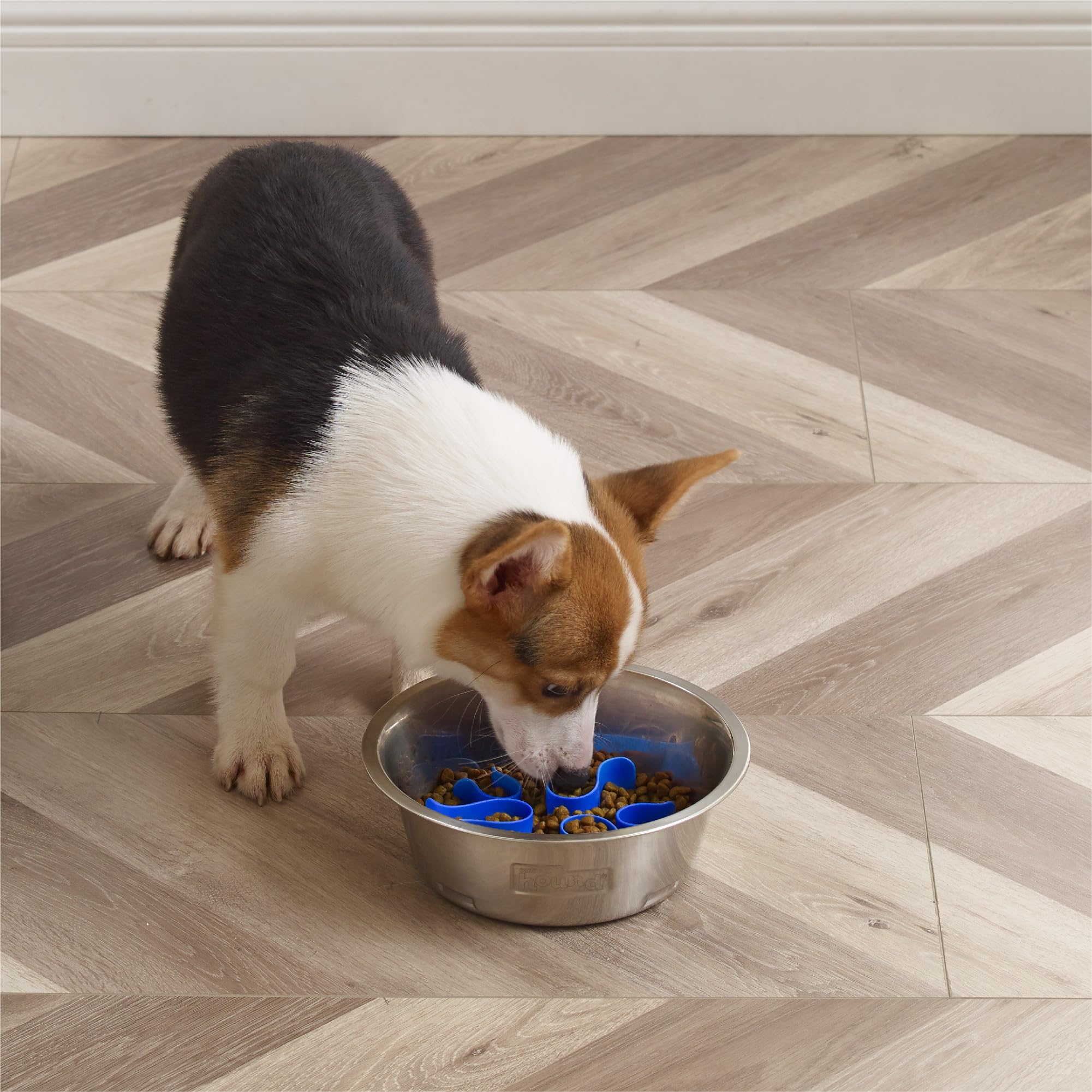 Foto 7 pulgar | Comedero Para Perros Outward Hound Fun Feeder De Acero Inoxidable - Venta Internacional.