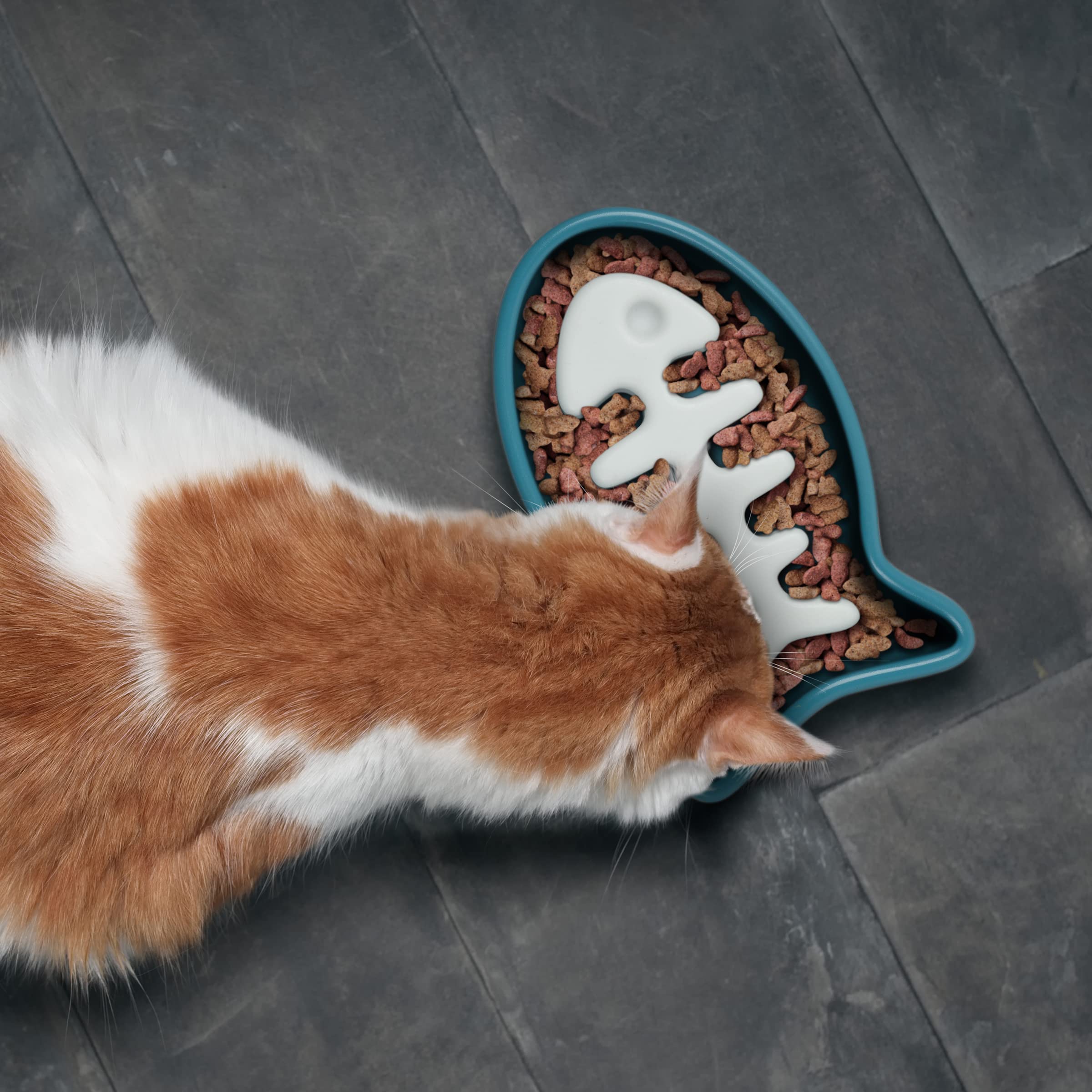 Foto 2 | Cat Bowl, Diseño Original De Fred Slow Food, Alimentador Lento Para Peces - Venta Internacional.