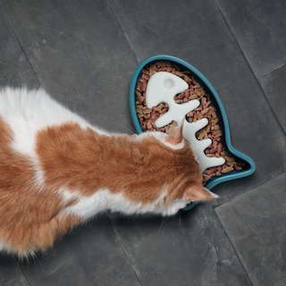 Foto 2 | Cat Bowl, Diseño Original De Fred Slow Food, Alimentador Lento Para Peces - Venta Internacional.