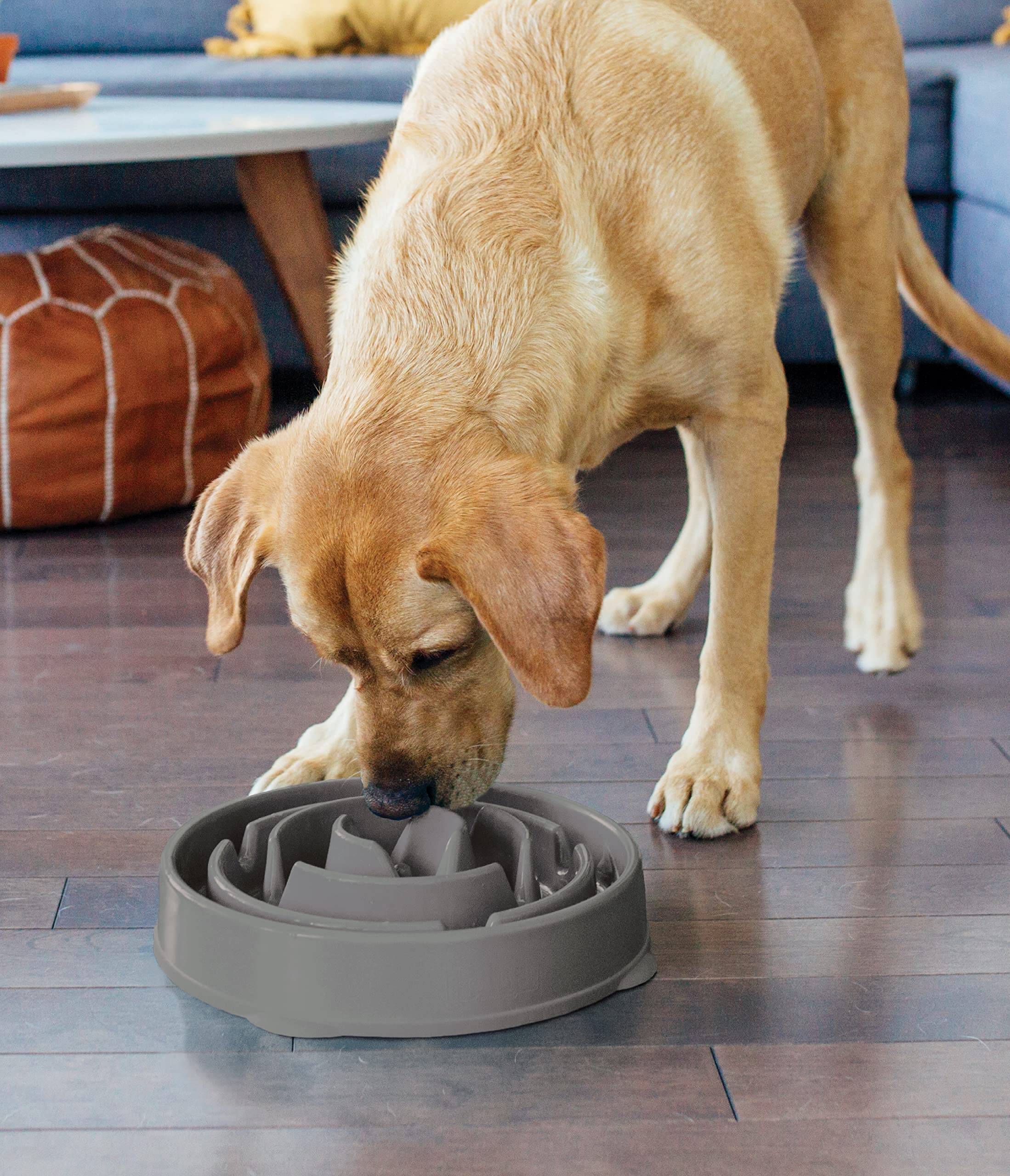 Foto 6 pulgar | Dog Bowl Outward Hound Fun Feeder Slo Bowl, Alimentador Lento - Venta Internacional.